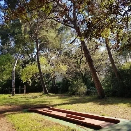 Rouveau *