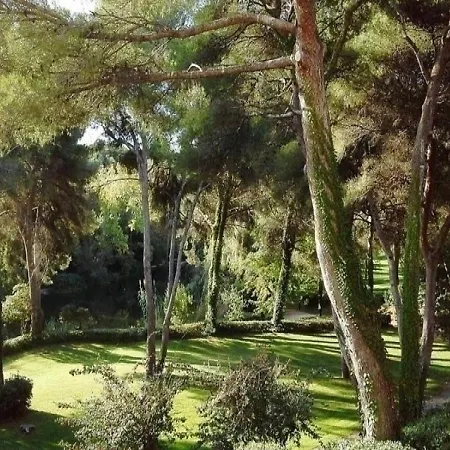 Rouveau Six-Fours-les-Plages